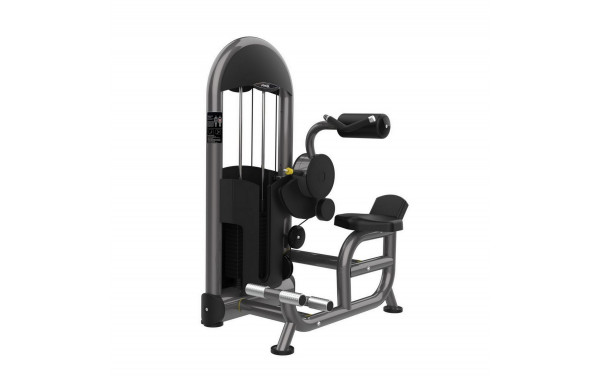 Пресс машина Fitex Pro FTX-6218 600_380