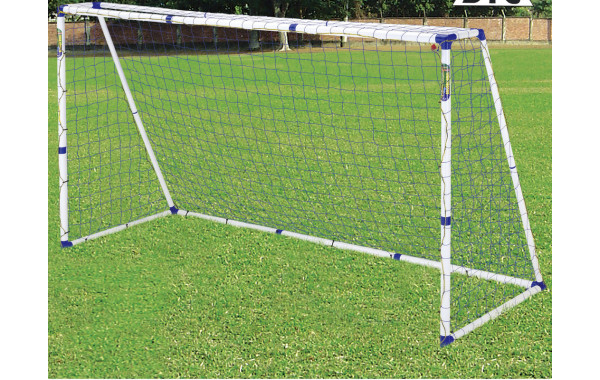 Ворота игровые DFC 10 & 6ft Pro Sports GOAL300S 600_380